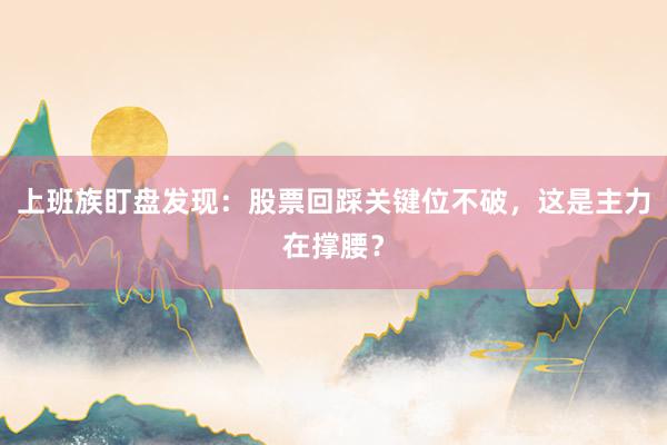 上班族盯盘发现：股票回踩关键位不破，这是主力在撑腰？
