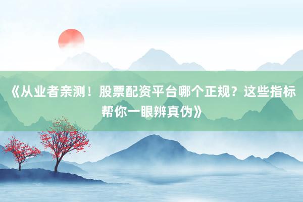 《从业者亲测！股票配资平台哪个正规？这些指标帮你一眼辨真伪》