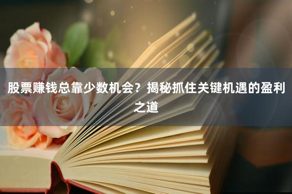 股票赚钱总靠少数机会？揭秘抓住关键机遇的盈利之道