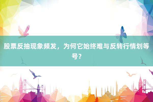 股票反抽现象频发，为何它始终难与反转行情划等号？