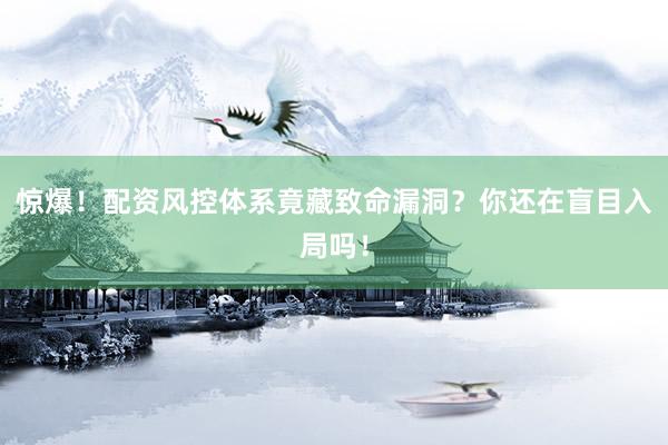 惊爆！配资风控体系竟藏致命漏洞？你还在盲目入局吗！
